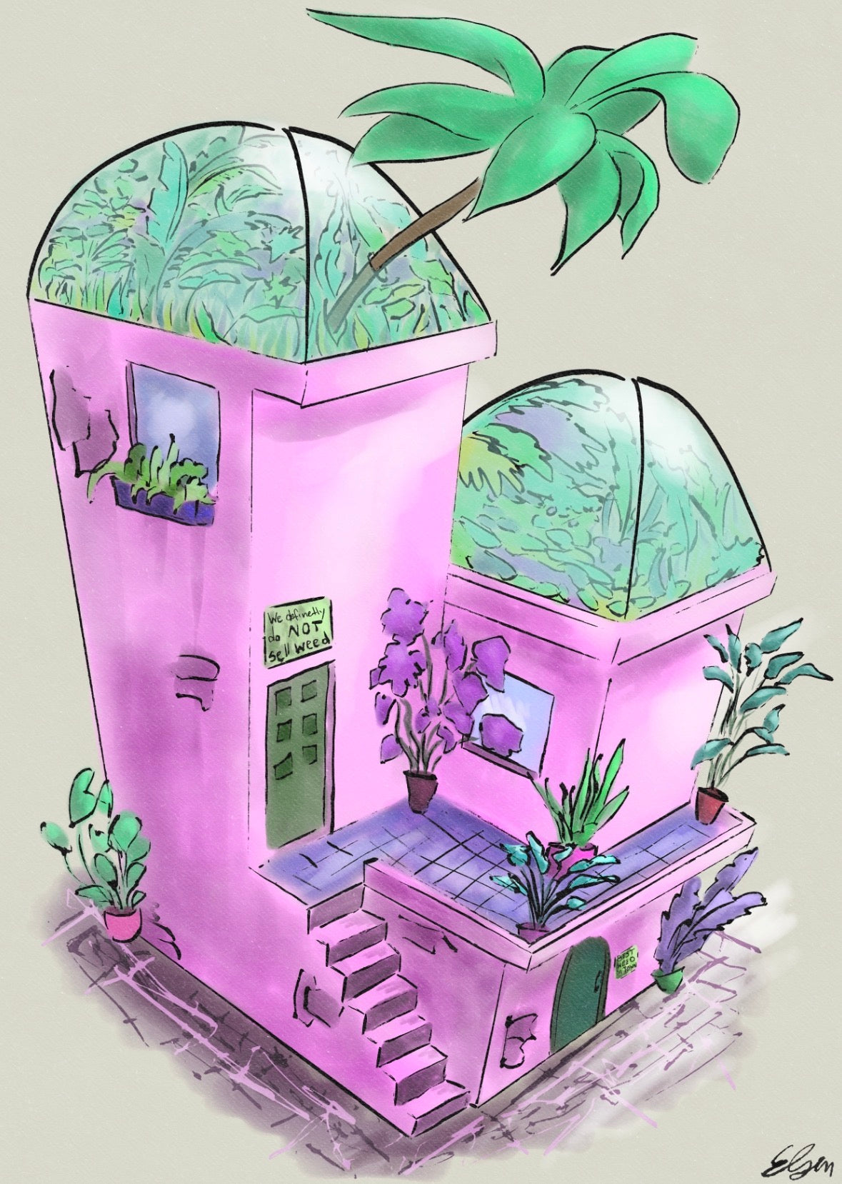 Pink Greenhouse